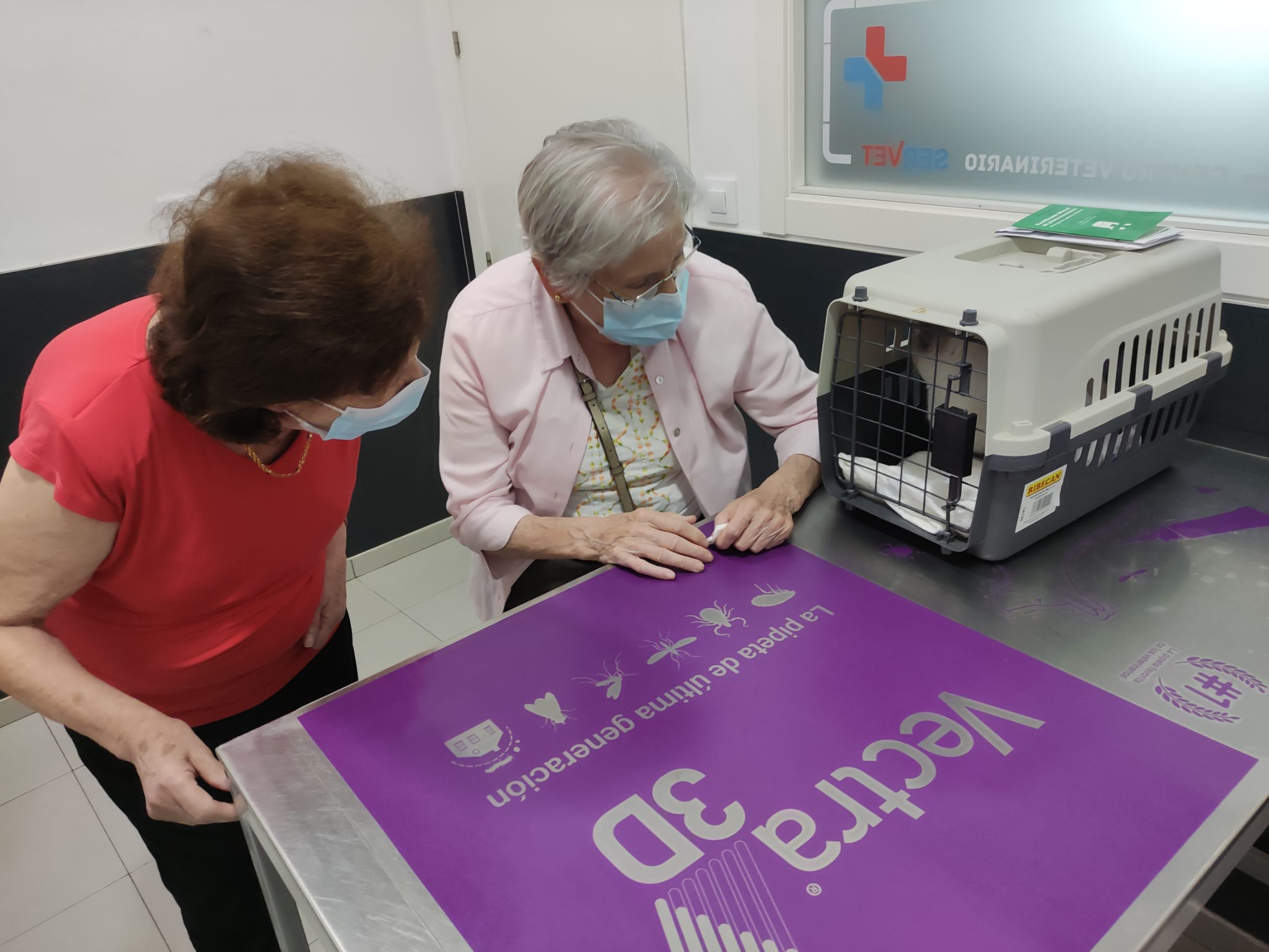 visita de aria a veterinario RC SEVILLA